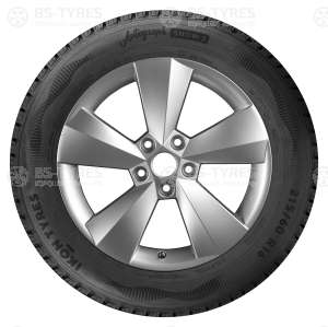 Ikon (Nokian Tyres) Autograph Snow C3 215/60 R17C 109/107R