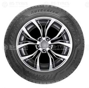 Autogreen Snow Cruiser AW06 205/75 R16C 110/108R