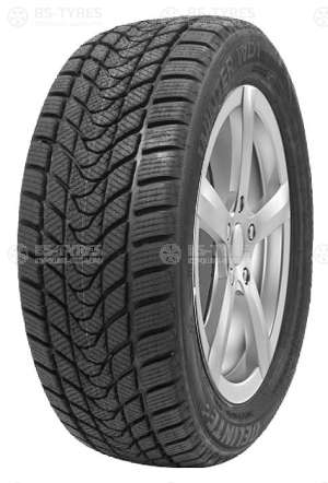 Delinte Winter WD1 185/60 R15 84H