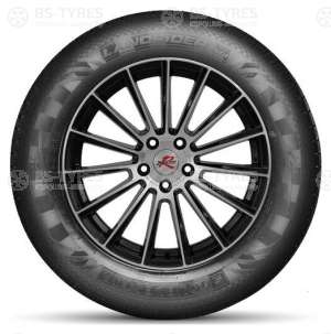 Doublestar DS01 245/75 R16 111S