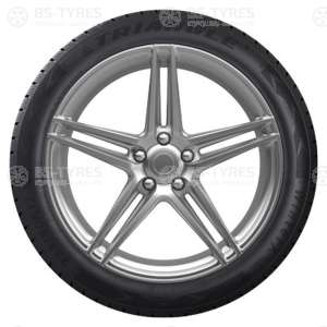 Triangle WinterX TW401 215/65 R17 99V